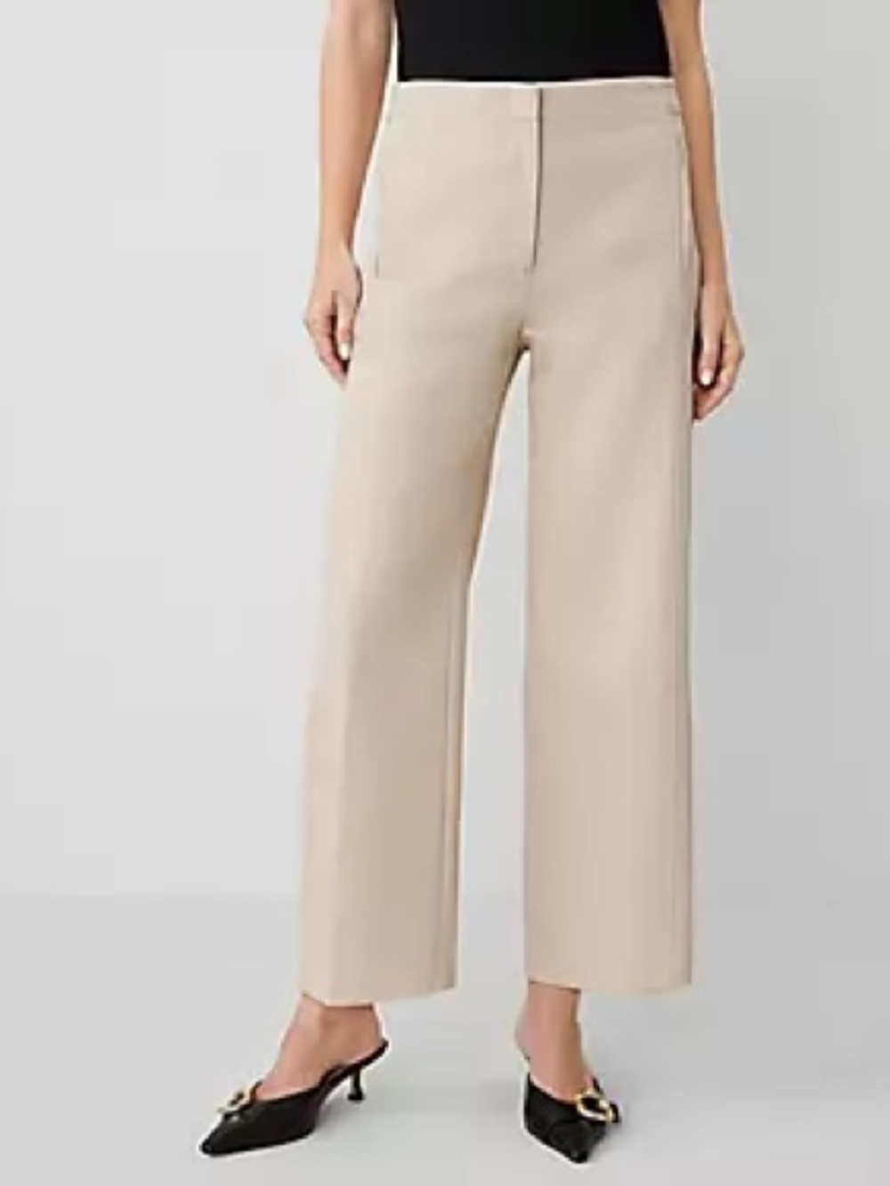 Ann Taylor Beige Pants